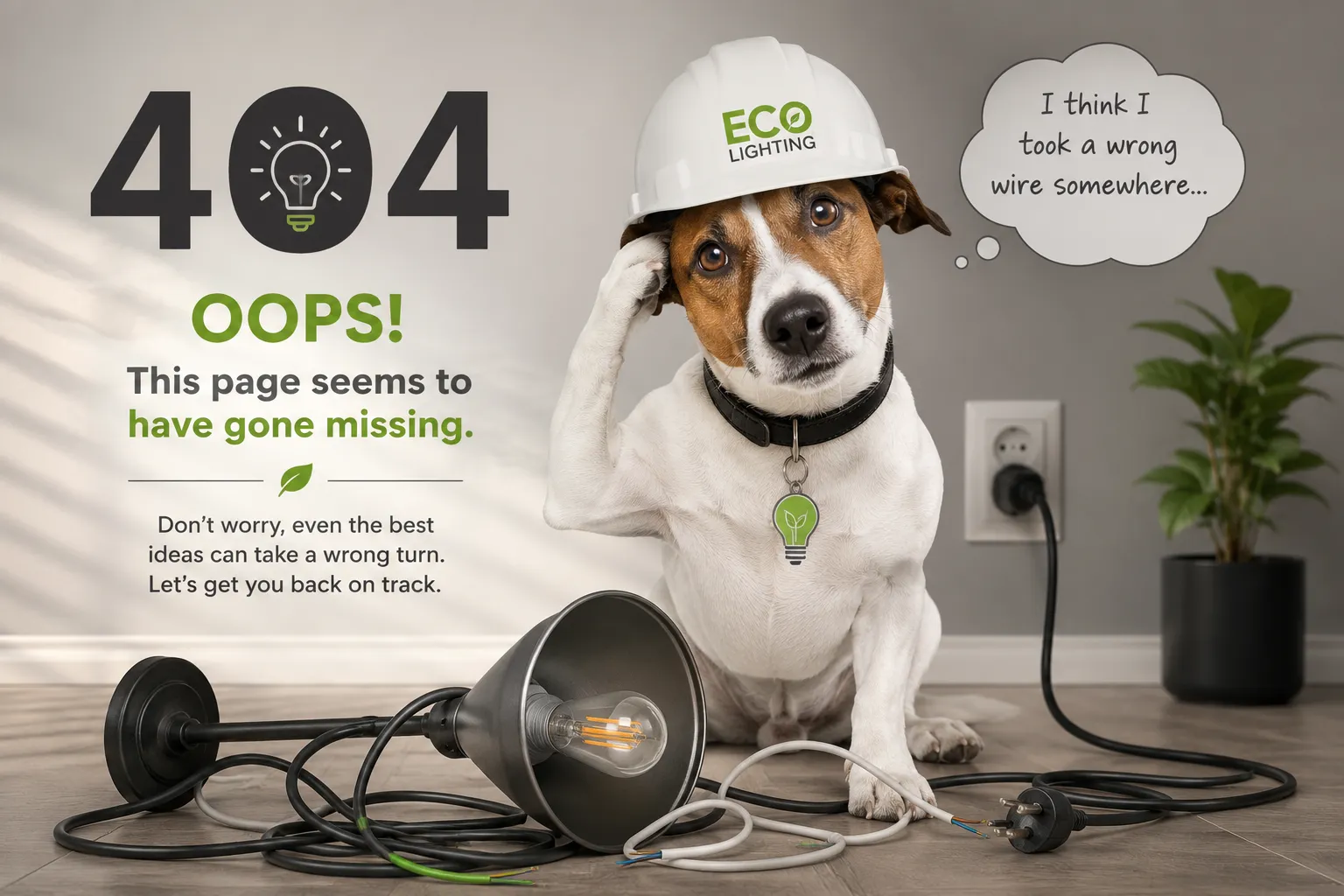 404 page image